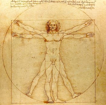 The Vitruvian man by Leonardo da Vinci